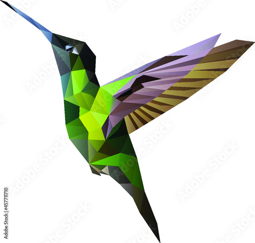 Hummingbird violet, wing, polygon, low poly, flying, tinny bird, fly, wildlife in costa Rica, Bird, green