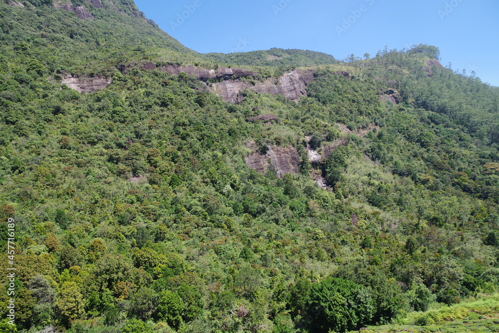 世界遺産スリランカ中央高原　聖山アダムスピーク