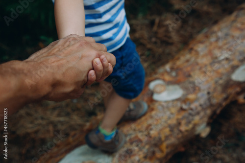 Close-up: the father holds the hand of his son, walking on the logs in the forest.