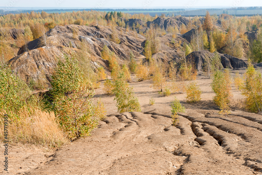 Naklejka premium Konduki, Tula region, Romancevskie mountains, Abandoned Ushakov quarries. The mud erosion of the soil looks like mountains. The area is overgrown with young birches. Beautiful natural landscape