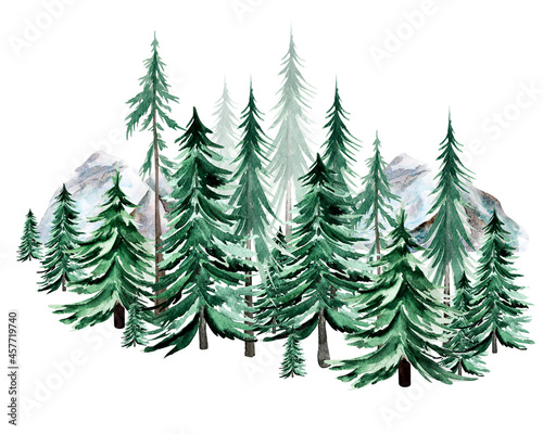 Spruce in mountains forest watercolor illustration. Template for decorating designs and illustrations.