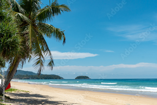 coconut tree sky clouds blue sea