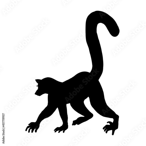 Silhouette of a charming animal lemur on a white background.Vector doodle illustration.