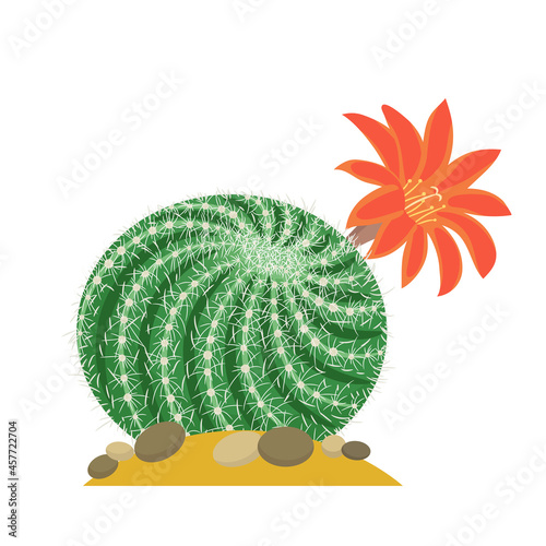 Blooming cactus flat illustration on white background. Desert and exotic plant.