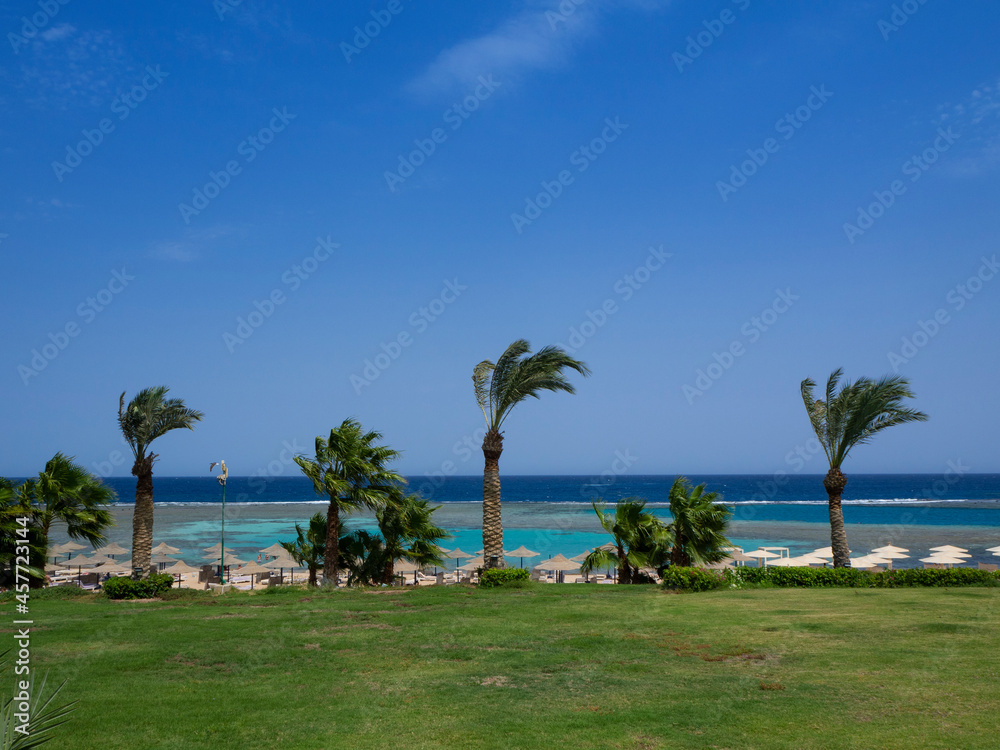Panoramic view of sunny beach in Marsa Alam, Egypt