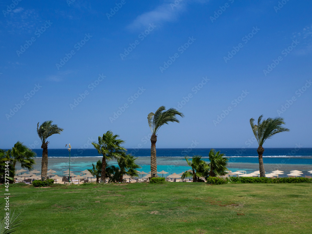 Panoramic view of sunny beach in Marsa Alam, Egypt Panoramic view of sunny beach in Marsa Alam, Egypt