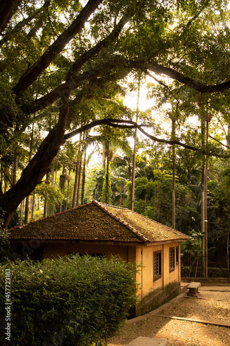 farmhouse surrounded by large trees