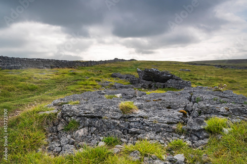 A cloudy late summer 3 shot HDR image of Limestone pavement on Orton Fell  above Orton  in Cumbria  England. 