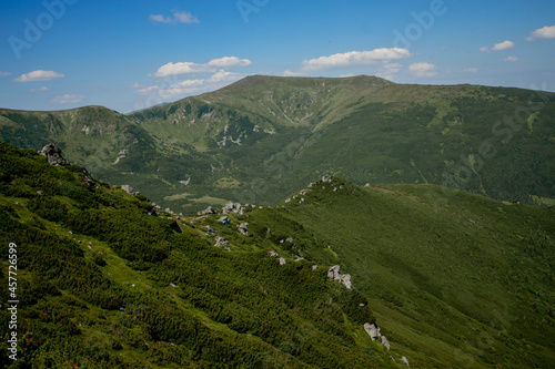 Fototapeta Naklejka Na Ścianę i Meble -  Carpathians mountain range at summer morning. Beauty of wild virgin Ukrainian nature. Peacefulness.