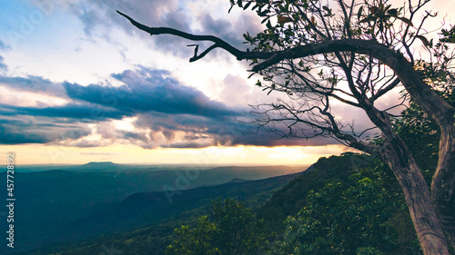 The small tree and a landscape of mountain ridges, sunset sky, and clouds.  Location place Phu Kra Dueng National park of Thailand.  in vintage style photo