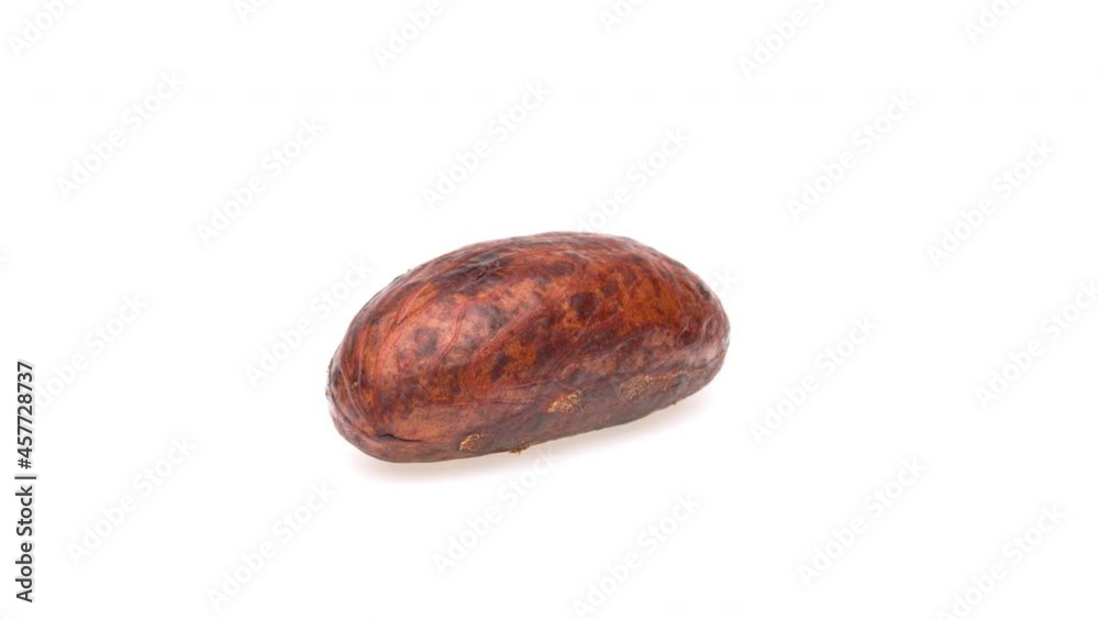 Side view of full kola nut seed rotating on white background.