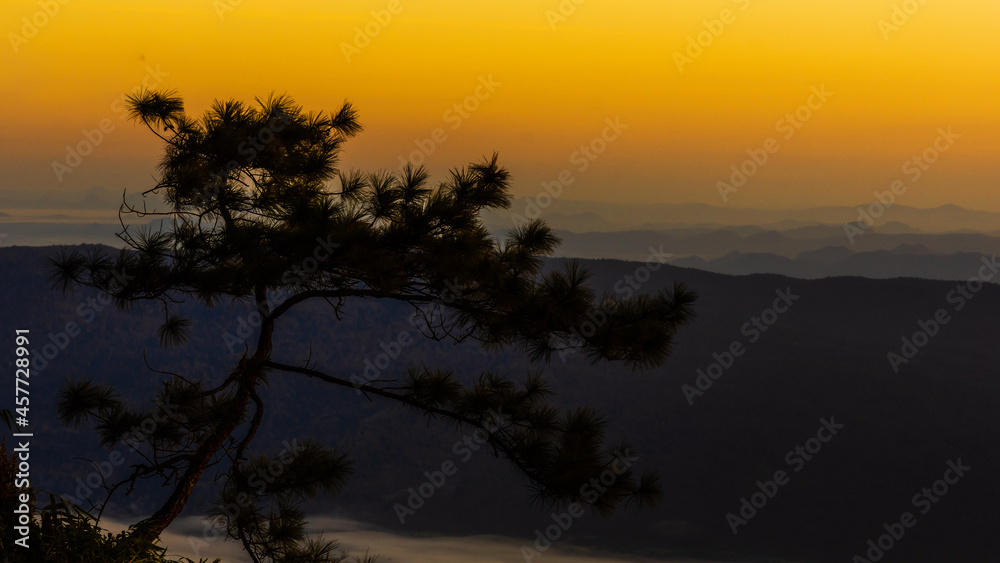 The panoramic view of the small tree with mountain ridges, sunset sky, and clouds. Location place Phu Kra Dung National park of Thailand.