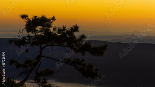 The panoramic view of the small tree with mountain ridges, sunset sky, and clouds. Location place Phu Kra Dung National park of Thailand.