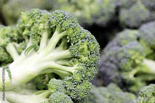Fresh broccoli close up, selective focus. Green vegetables background, healthy eating