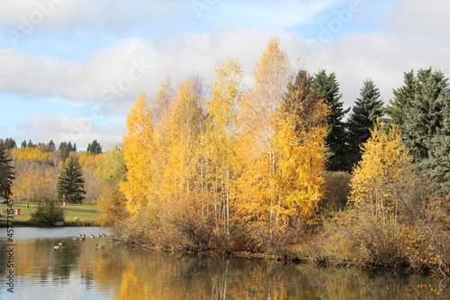 Fall Colours Along The Island, William Hawrelak Park, Edmonton, Alberta