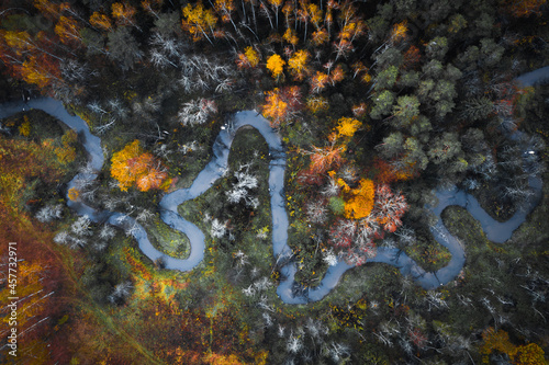 aerial photography of forest, forest and river landscape
