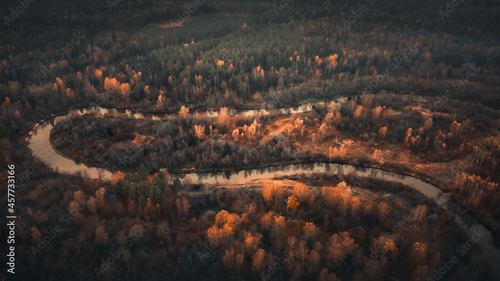 aerial photography of forest, forest and river landscape