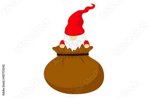 Adorable gnome Christmas