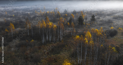 aerial photography of forest, forest and river landscape photo