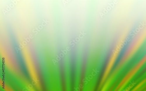 Light Green vector background with straight lines.