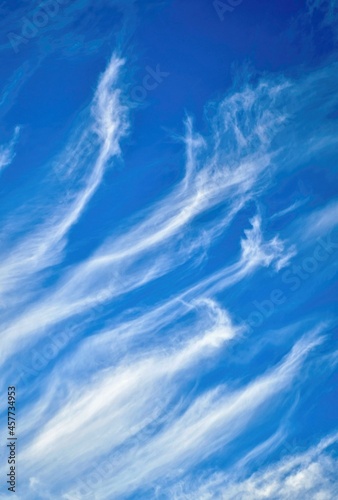 stretched clouds in the blue sky