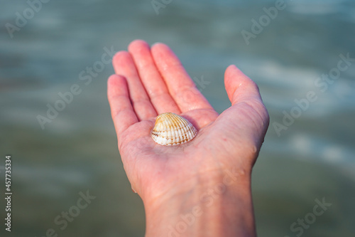 Seashell in a female palm against the background of the sea © Alex