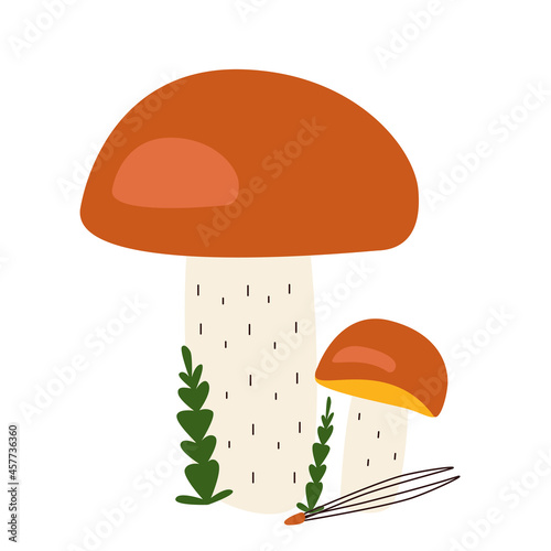 Edible mushrooms with orange caps with moss and a coniferous needle in hand drawn style