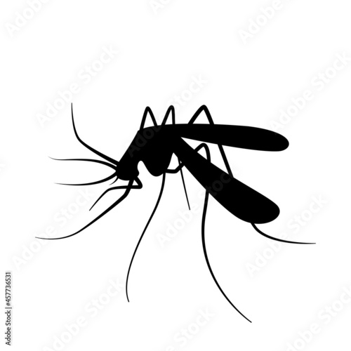 mosquito silhouette, black mosquitoes isolated on white, illustration mosquito for clip art