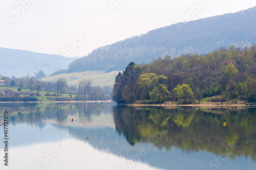 Shoots in the surface of Lake Myczkowieckie, Bieszczady Mountains