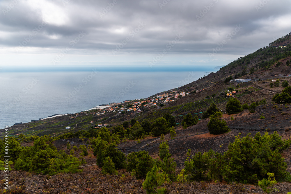 Fototapeta premium Volcanic landscape, hillside in Fuencaliente, La Palma, Canary Islands.