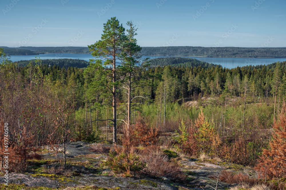 The top of Mount Hiidenvuori in Karelia near Lake Ladoga, in autumn on a sunny day