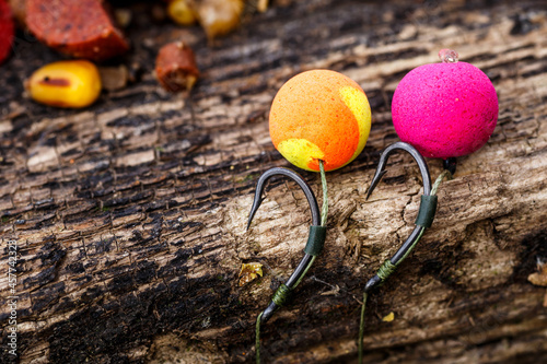 Carp fishing chod rig.The Source Boilies with fishing hook. Fishing rig for carps,Carp boilies, corn, tiger nuts and hemp.Carp fishing food boilies. photo
