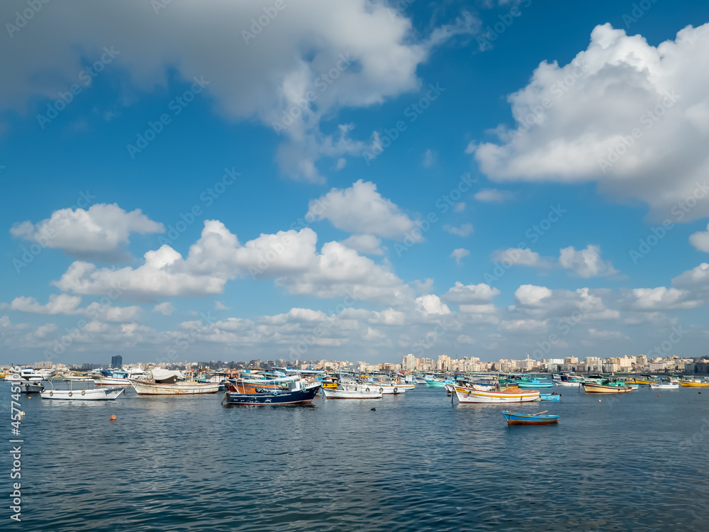 view of the city of Alexandria