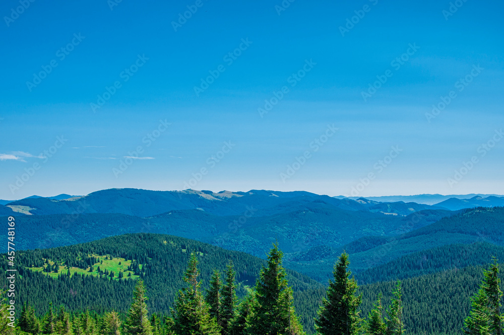 green cone-shaped treetops against the backdrop of mountains and blue sky. High quality photo