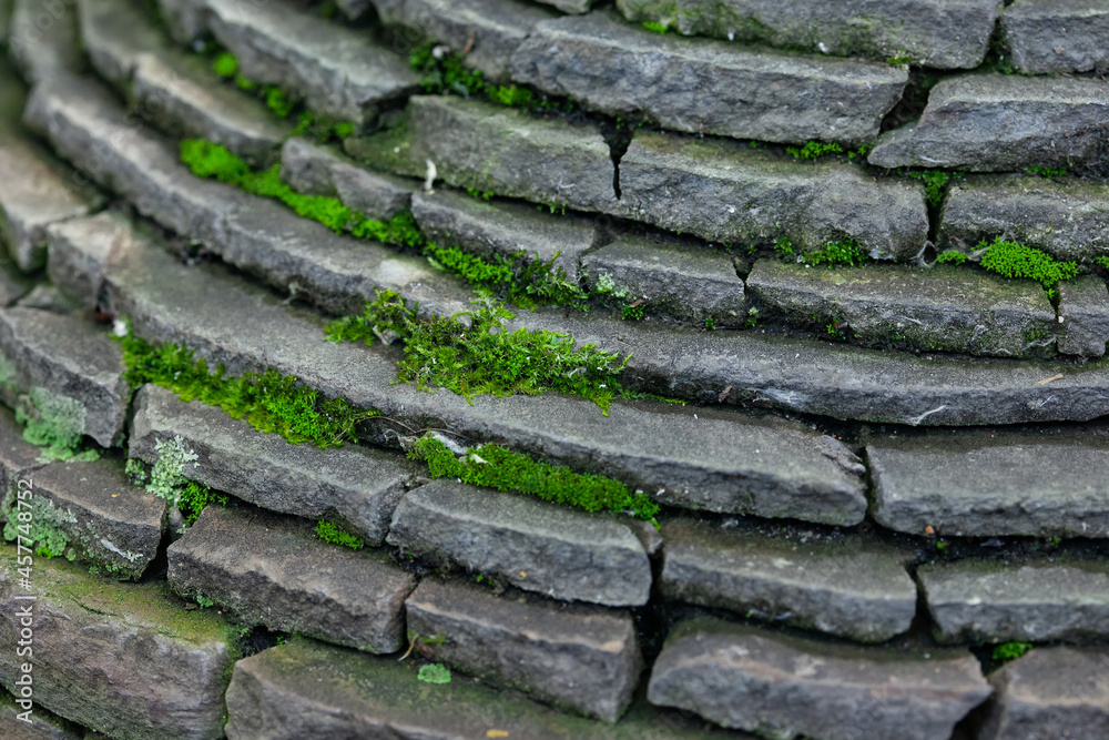 old masonry overgrown with moss and lichen, close-up