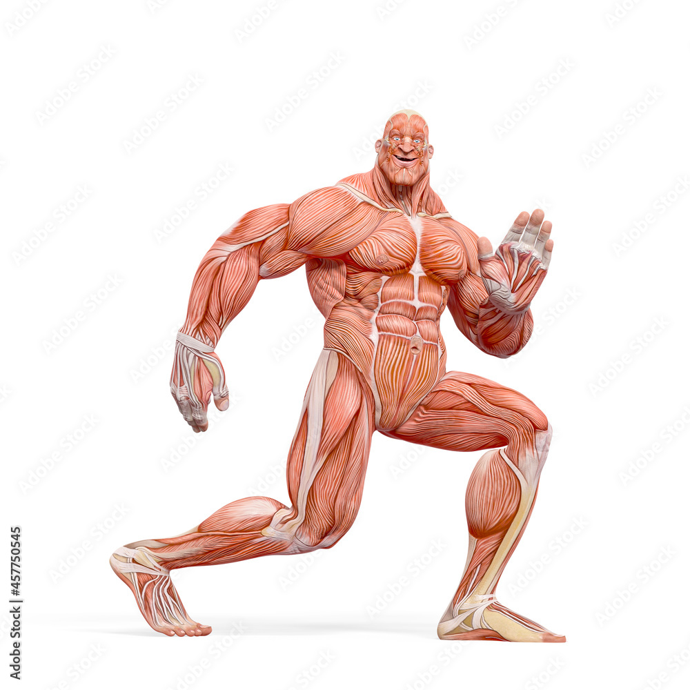 bodybuilder muscle maps is doing a free robot dance in white background bodybuilder muscle maps is doing a free robot dance in white background