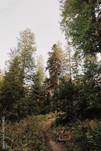walking in the forest © Ilya Postnikov