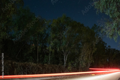 Obraz na płótnie Bosque nocturno w salonie