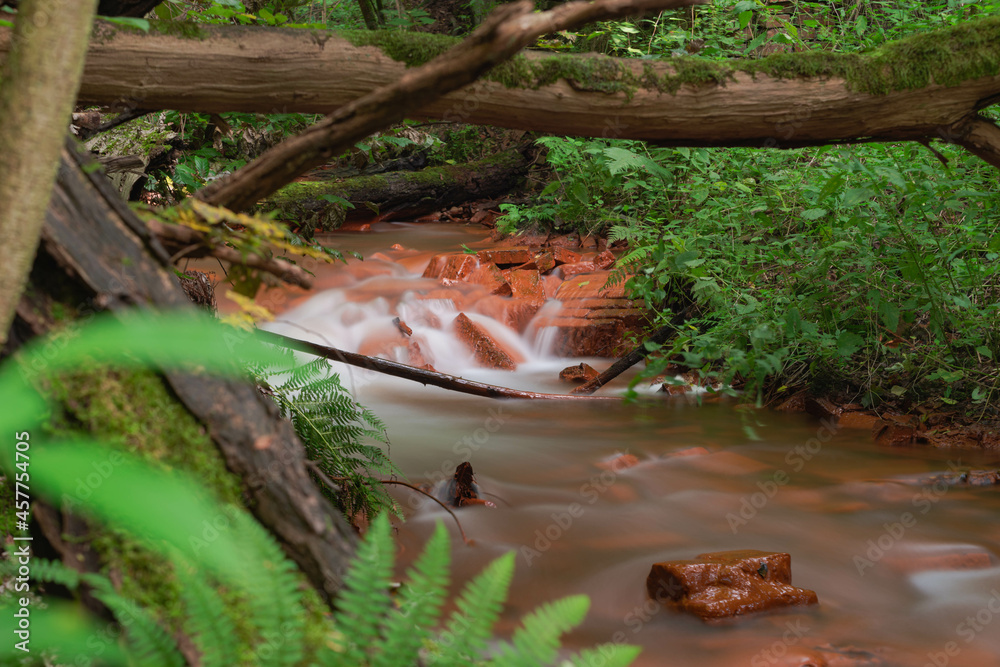 Spieniony, mały strumień płynący przez dziki las. - obrazy, fototapety, plakaty 