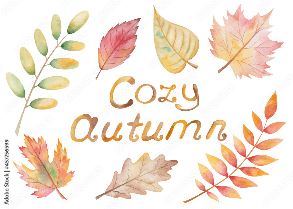 Watercolor illustration hand painted tree leaves in autumn color oak, birch, maple, cherry and text Cozy Autumn isolated on white. Forest clip art elements for fabric textile, design postcards, poster