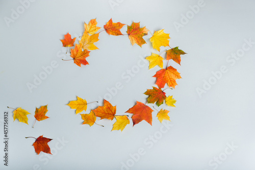 Flat lay composition with autumn leaf. Autumn  fall concept. Flat lay  top view  copy space  circle. Minimalistic concept