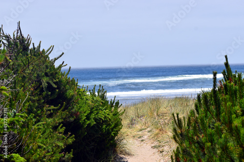 Sandy trail overlooking Oregon beach