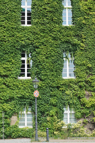 House with Green Walls as Vertical Garden