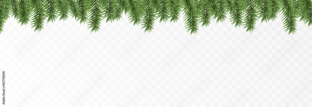 Vector fir branches. Spruce branches png, pine, spruce. Christmas decorations, Christmas background. - obrazy, fototapety, plakaty 