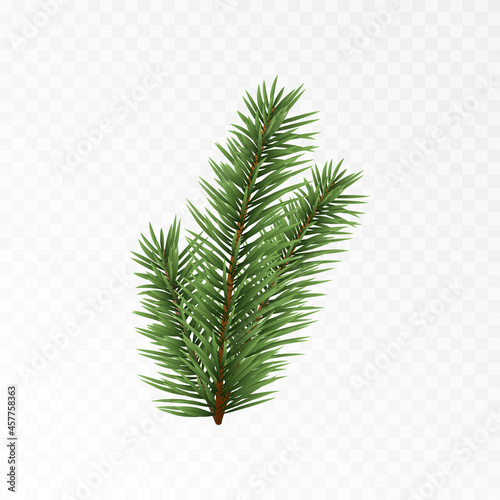 Vector spruce branch. Spruce branches png, pine, spruce. Christmas decorations.