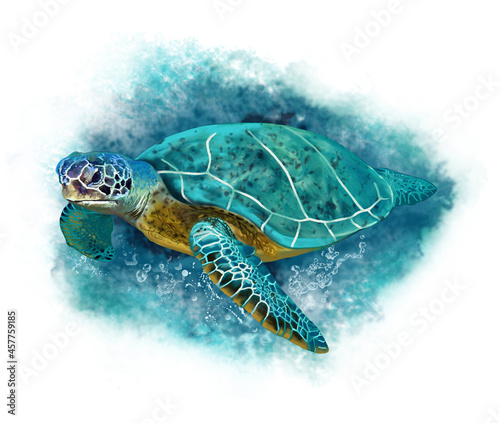 Grande tartaruga di mare. Dipinto photo