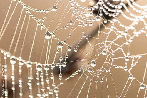 Close-up of dew drops on a spider web.