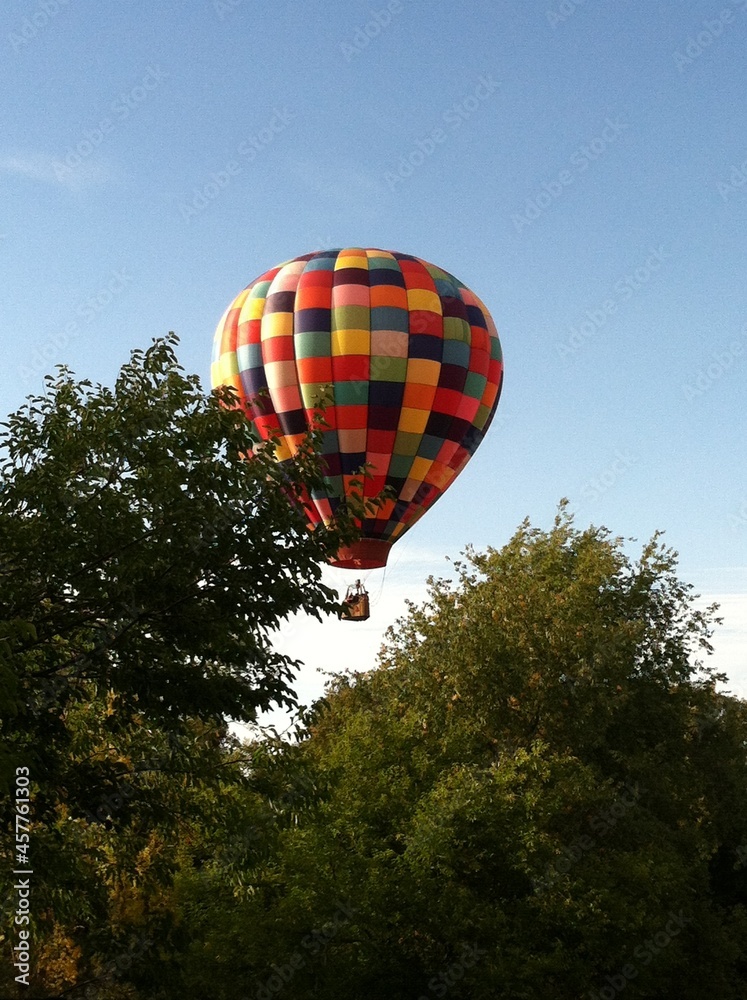 Hot air balloon and tree top against clear blue sky Hot air balloon and tree top against clear blue sky