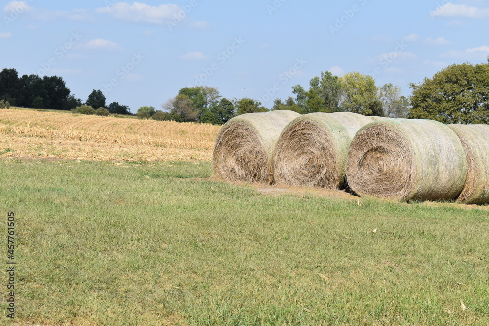 Hay Bales by a Harvested Corn Field Hay Bales by a Harvested Corn Field