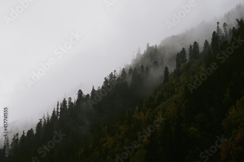 fog in the mountains © Ilya Postnikov